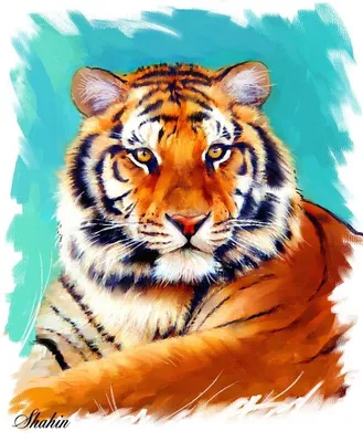 Тигр рисунки картинки