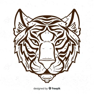 Тигр голова Изображения – скачать бесплатно на Freepik