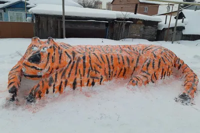 Тигры из снега в Пермском крае  г -  - 59.ру