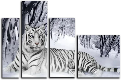 Фотообои с изображением большого тигра, животных, короля, черно-белые  наклейки на стену, роспись, украшение для спальни #2874 # | AliExpress