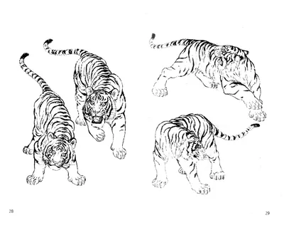 Как нарисовать саблезубого тигра поэтапно 5 уроков