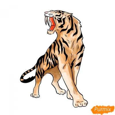 Рисунок тигра | Пикабу