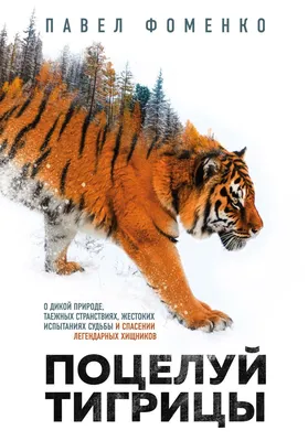 Из-за утренней атаки на Киев упала и не может подняться тигрица (видео) —  УНИАН