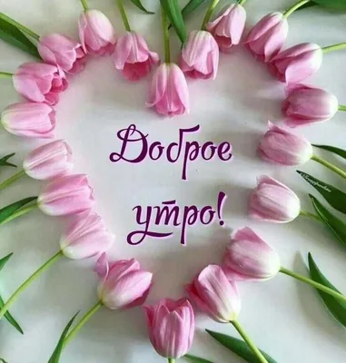 Pin by Любовь Кішик on День народження | Good morning greetings, Good  morning, Morning greeting