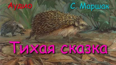 Тихая сказка. Маршак С.Я. — купить книгу в Минске — 