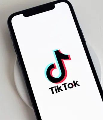 The Latecomer's Guide to TikTok - The New York Times