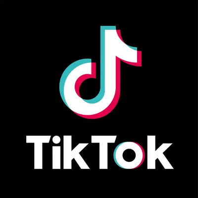 TikTok User Statistics (2022)