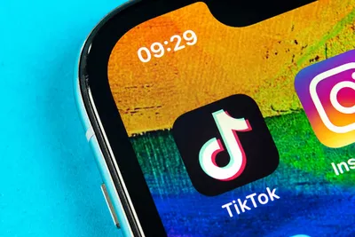 Минкульт посчитал TikTok Fest вредным для молодёжи – Новости Узбекистана –  Газета.uz