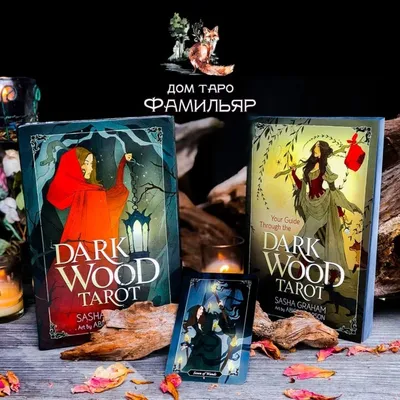 Dark Wood Tarot. Таро Темного леса (78 карт и руководство в подарочном  футляре). Грэхем С. — купить книгу в Минске — 