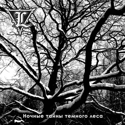 Таро Теней Тёмного Леса | Купить настольную игру Таро Теней Тёмного Леса в  Минске по цене  р. в интернет-магазине Hobbygames