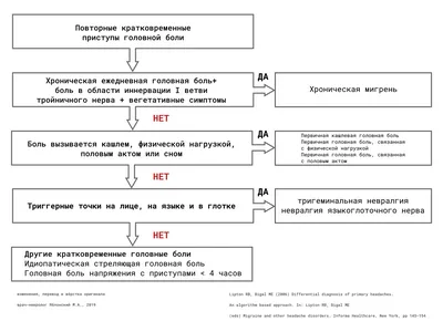 Описание Голоной боли | Руководство, Проектов, Исследование Неврология |  Docsity