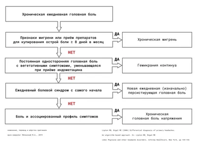 Головная боль: почему болит голова, виды болей, причины и лечение - FitoBlog