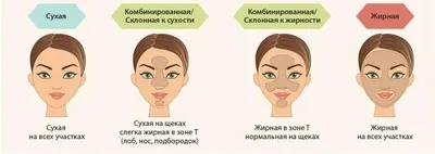 Типы кожи лица и их характеристика | Aumishop