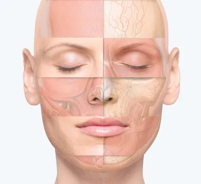 Как определить свой тип кожи лица? - LOOKFANTASTIC