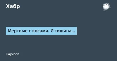 И мёртвые с косами стоят, и тишина... | Пикабу