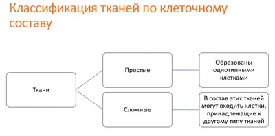 Презентация по биологии на тему "Ткани растений" (5 класс)