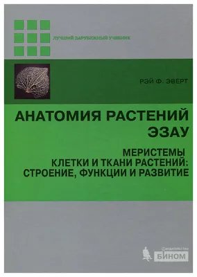 Типы, функции и значение основных тканей растений. | Рефераты Ботаника |  Docsity