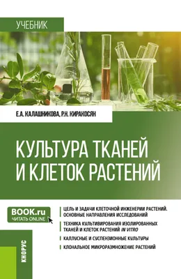 Ответы : значение тканей у растений? Растения:ткани их виды