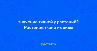 Ботаника. Ткани растений. Методическое пособие для подготовки к ЕГЭ по  биологии(Валентина Белая) | PDF