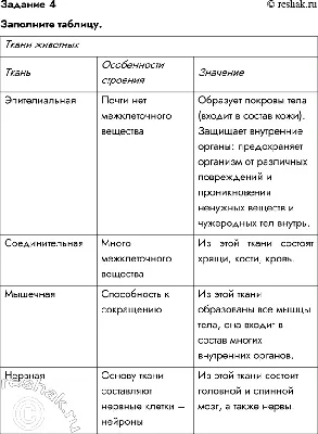 Ткани животных | Дистанционные уроки