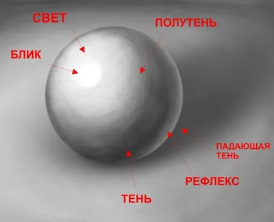 Ученье - свет, а неученье - тьма. — Илья Беликов на 