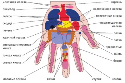 Электромассажер для лица и глаз, умный, беспроводной, электрический,  массажные очки, от головной боли, вибромассаж, лифтинг эффект от морщин -  купить с доставкой по выгодным ценам в интернет-магазине OZON (858231060)