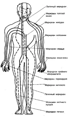 Точечный массаж в китайской медицине | Блог