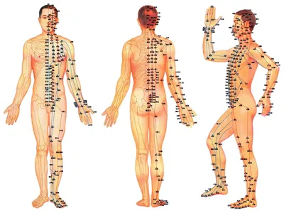 Китайский точечный массаж