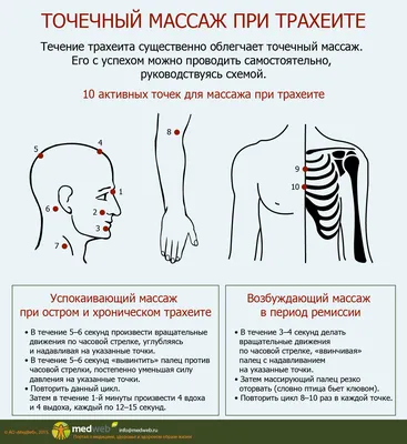 Тибетский точечный массаж (Акупрессура) в Москве в клинике Тибет