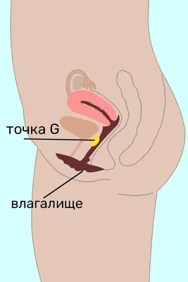 Увеличение точки G стоимость операции - Цены в Минске