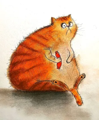5 самых «толстых» пород кошек