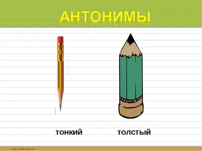 Толстый и тонкий для детей картинки