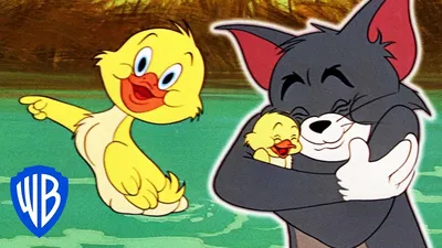 Создать комикс мем "том и джерри на русском, tom and jerry tom, том и джерри  кадры из мультфильма" | Забавные картинки, Мемы, Мультфильмы