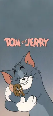 Обои кот, мультфильм, мышь, заставка, Том и Джерри, Tom and Jerry картинки  на рабочий стол, раздел фильмы - скачать