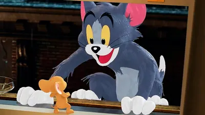 Картинка Том и джерри, tom, мультфильм, cat, зига, том, tom and jerry, кот  1280x960 скачать обои на рабочий стол бесплатно, фото 60324