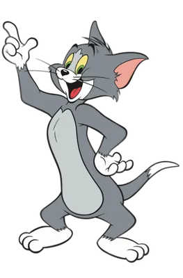 Обои кот, мультфильм, мышь, заставка, Том и Джерри, Tom and Jerry картинки  на рабочий стол, раздел фильмы - скачать