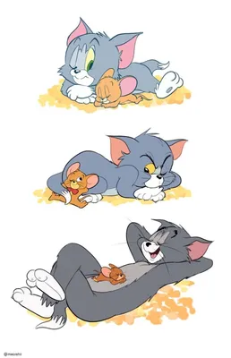 Обои кот, мультфильм, cat, Том, Том и Джерри, Tom, Tom and Jerry, зига  картинки на рабочий стол, раздел фильмы - скачать