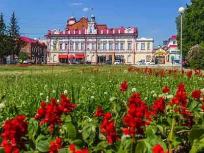 Томск — интересные факты о городе, статистические данные