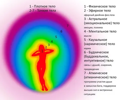 Тонкие тела человека для жизнедеятельности на Земл (Ачулла-Тасачена) /  Проза.ру