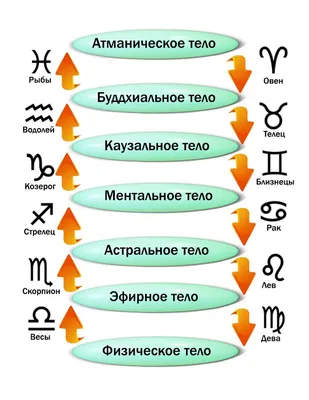 Владимиров А. Кольцо подсознания: тонкие тела человека (Беловодье, 2006)