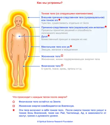 Тонкие тела человека. Трансформация энергии