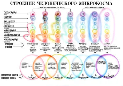 Kudesnica - Физико-энергетическое состояние человека….. Что это такое?!?!?!  🔆🔆🔆 У каждого человека есть физическое тело и тонкие тела. Есть  энергоканалы, которые проходят через все тело человека. 🔅 На теле есть,  известные многим,