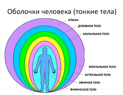 4 тонких тела человека. | Матрица Судьбы. Перезагрузка. | Дзен