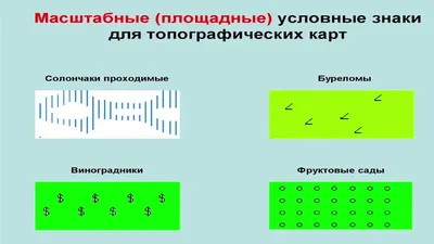 Что такое топографический план и карта? | По-SMARTивному обо всем на свете  | Дзен