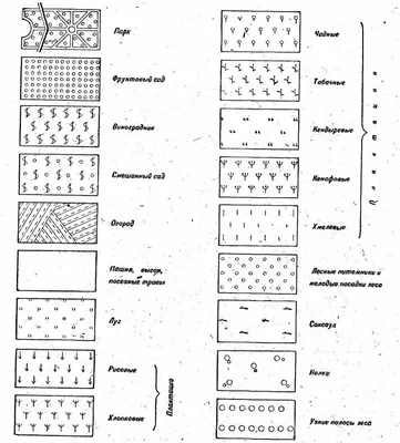 Топографические условные знаки и обозначения лесов, кустарников, садов и пр.