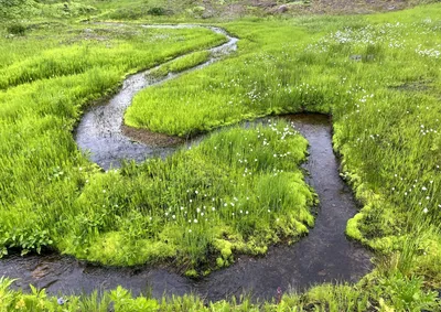 Купить ТОПОВЫЕ стикеры УКРАИНА водостойкие наклейки Патриотические, цена  175 грн —  (ID#1592669767)