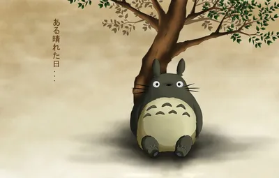 Обои сидит, мой сосед тоторо, tonari no totoro картинки на рабочий стол,  раздел кодомо - скачать