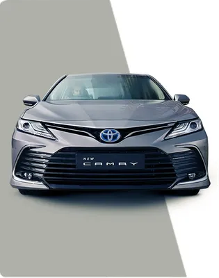 2023 Toyota Cars: What's New With Corolla, Camry, GR86, and Supra