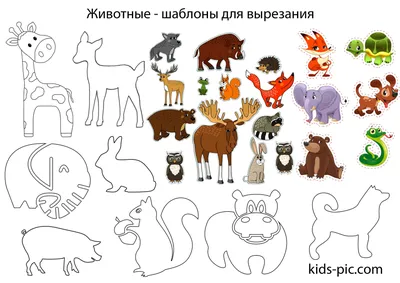 Трафарет и шаблон Животных 🖍. Раскрашиваем любимыми цветами бесплатно и с  улыбкой 👍