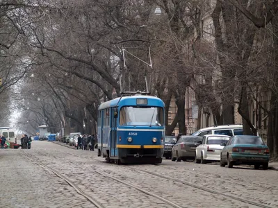 Неизвестный с шилом напал на машиниста трамвая во Владивостоке (ФОТО) -  PrimaMedia